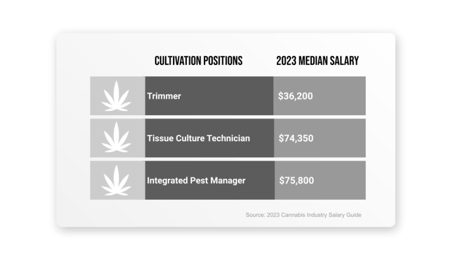 Salary Section-Cultivation